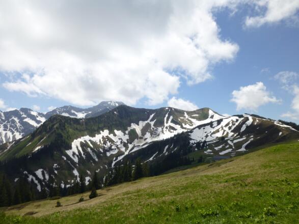 Blick zum Analperjoch und Säckelalpe