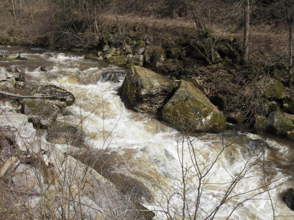 Naarn, Falkensteinkatarakt bei Schneeschmelze