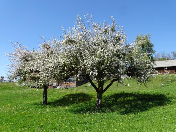 Langsam kommen wir wieder in die Zivilisation