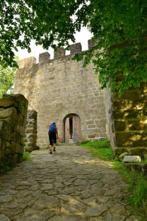 das Tor zur Ruine Windegg