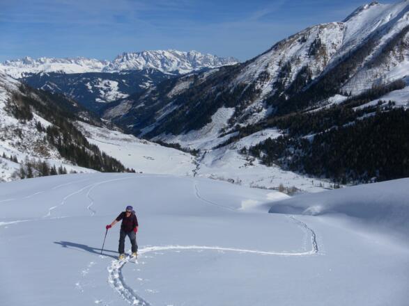 freie Almflächen. Im Hintergrund der Hochkönig
