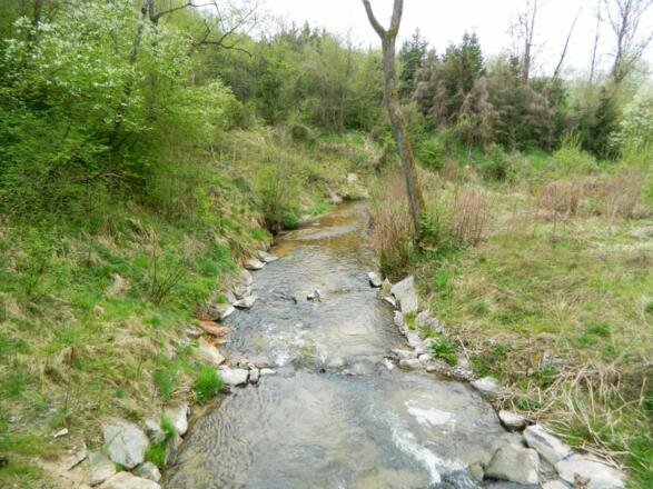 Blick in den Kettenbach
