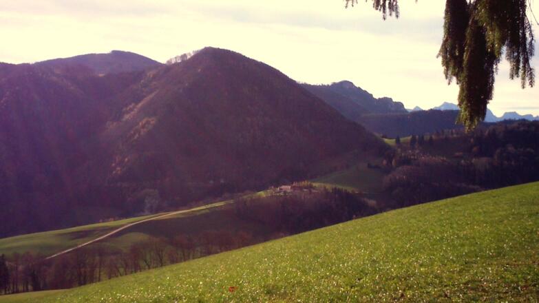Kruckenbrettl vom Kaiblinger Kogel