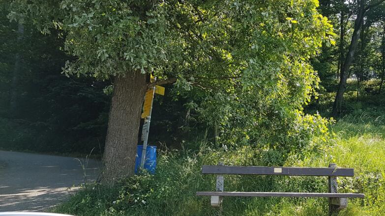 Wanderwegekreuzung mit Bankerl