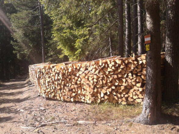 Holzreiches Mühlviertel um St. Oswald bei Freistadt