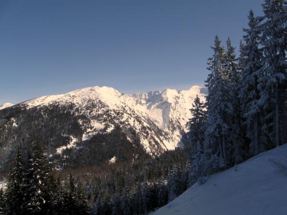 Oberhalb der Sattelbergalm