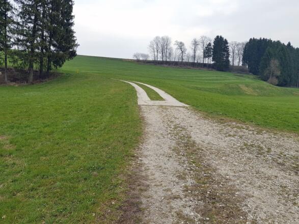 Der Weg nach Oberthumberg