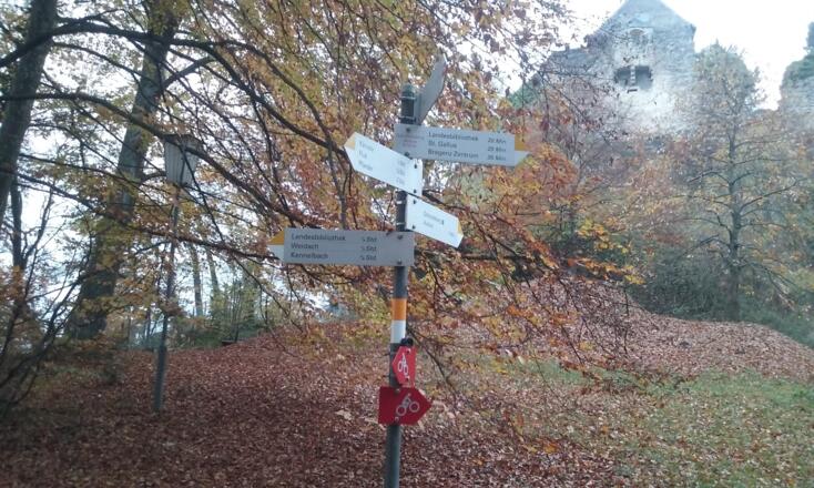Start und Ende der Runde am Gebhartsberg mit Ruine. Richtung Kennelbach geht es los / Start and goal of the walk - take the path in direction Kennelback downward