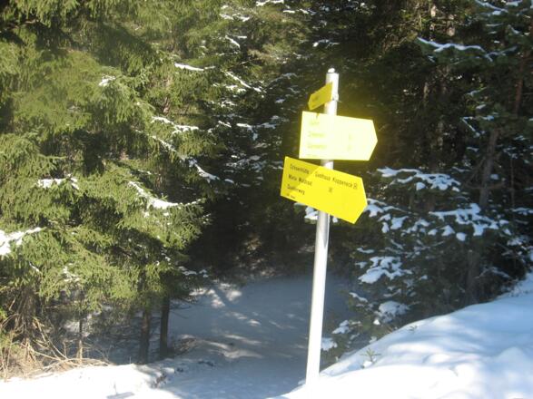 Bei der nächsten Abzweigung wieder den Hinweisschild Kopperneck folgen.