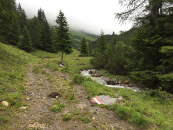 auf dem markierten Adlerweg geht es zurück zum Ausgangspunkt