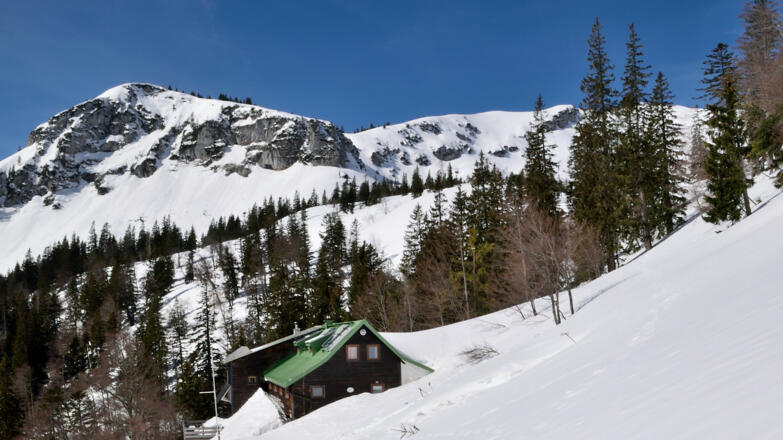Steyrer Hütte und Roßschopf