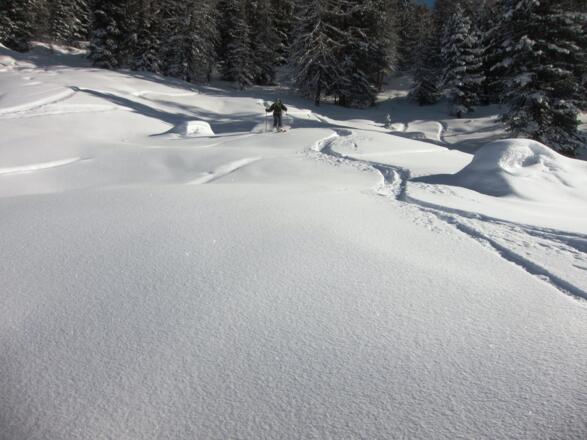 Abfahrt über die Almwiesen der Studlalm.
