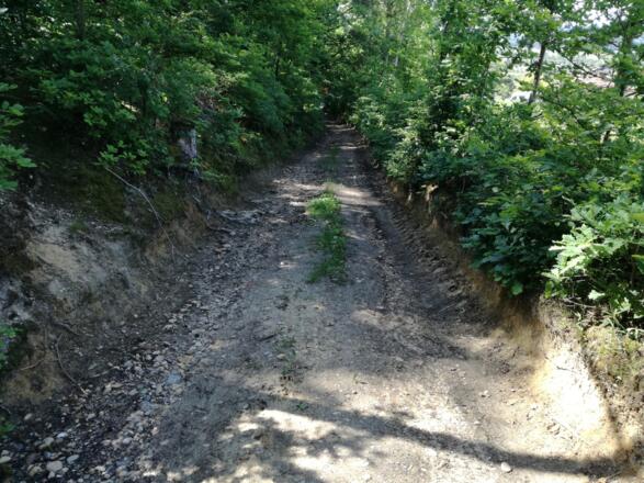 Hohlweg kurz vor Rosenleiten