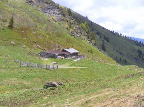 Schmaranzalm