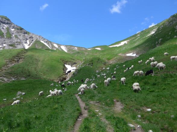 Westliches Lachenjoch