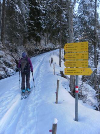 Abzweig zur Tagweidalm