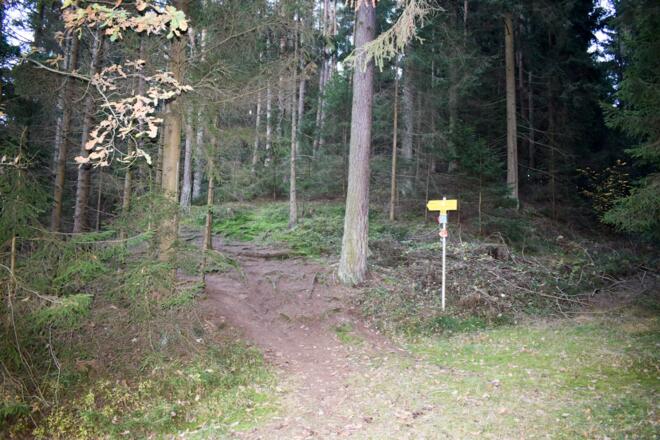 Abzweigung nach links auf den Pfad