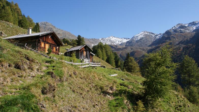 Viggar Hochleger Almen mit Kreuzspitze im Hintergrund