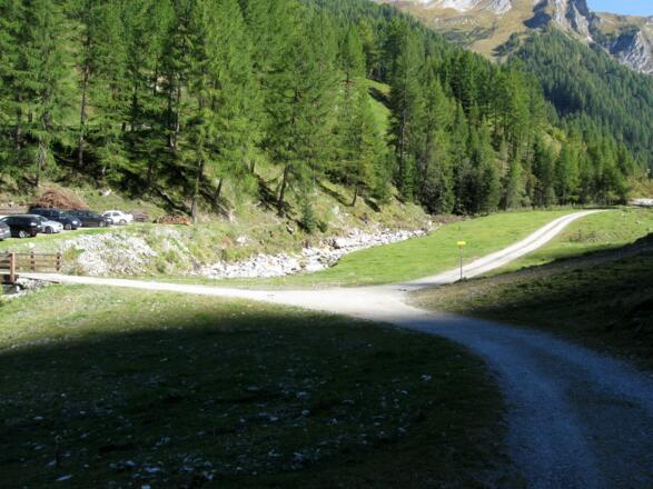 Zurück im Talboden. Bei dieser Weggabelung geht es wieder Richtung Holzebensiedlung.