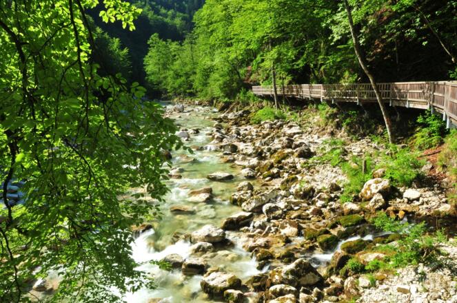 Buchensteig am Reichramingbach im Bereich des Wasserboden