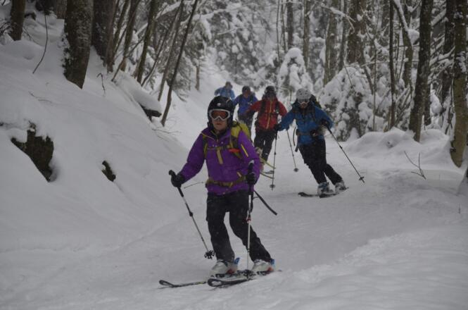 Forstweg als Verbindung zum Tugstein