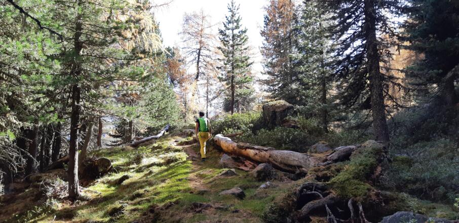 Sehr reizvoll ist der Weiterweg - ein ...