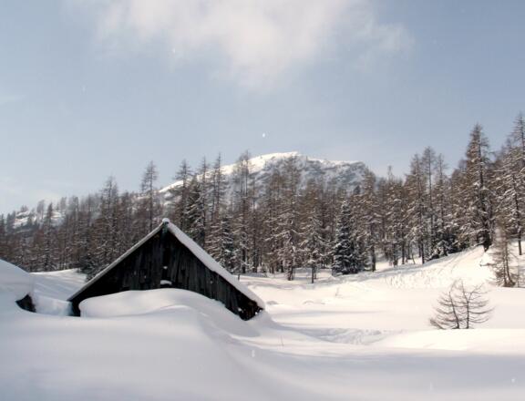 Albl Jagdhütte 1700m mit Torkoppen