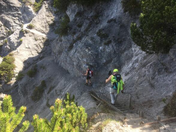 Am Beginn des Steiges