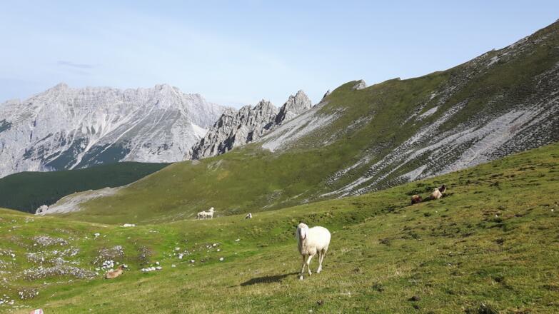 Blick Richtung Norden