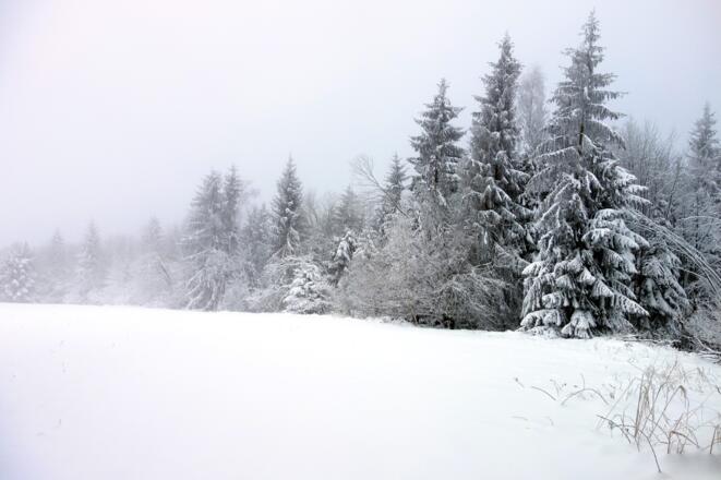 Plateau Taubenkogel 901m