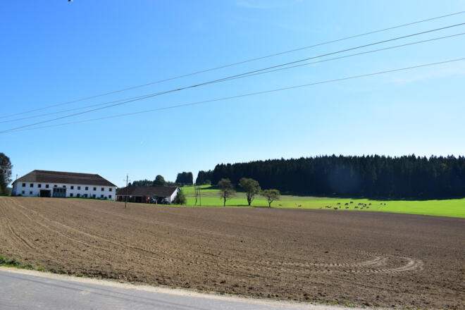 Bauernhof bei Heinrichschlag