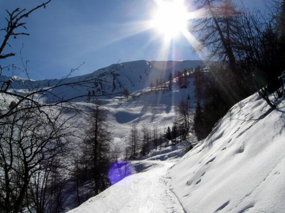 Über den Forstweg geht es Richtung Stoffenalm.