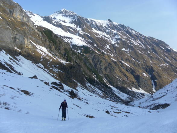 Rohrmooseralm