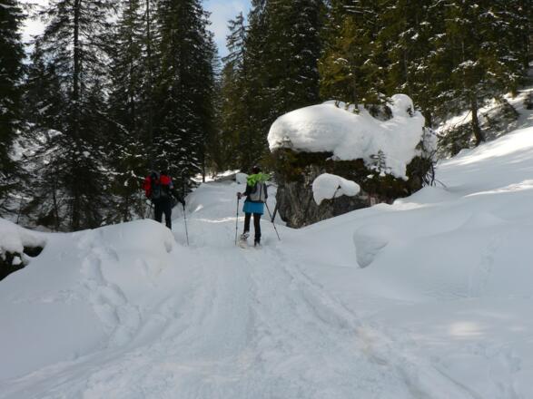 Der schöne Wanderweg führt direkt ins Almgebiet