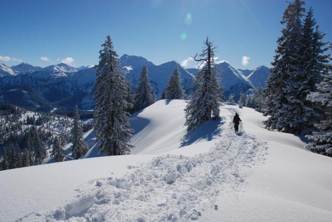 Rückweg zum Pirschling