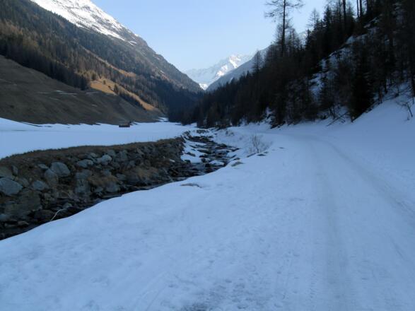 Entlang der Rodelbahn / Forststraße geht es taleinwärts.
