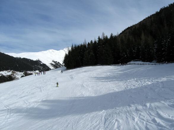 Am Zaum entlang bzw. am Waldrand geht es aufwärts.