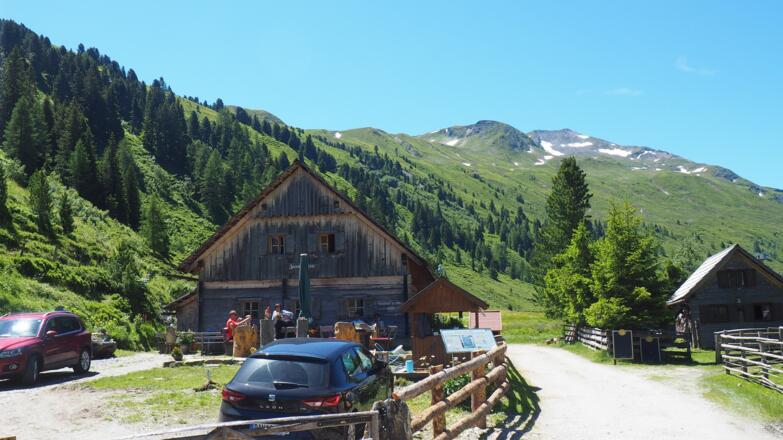 Zauneralm ~1733m