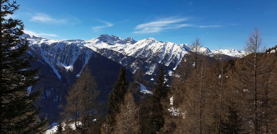 Ausblick nach Süden auf den Karnischen Grenzkamm