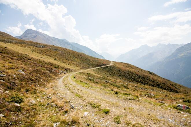 Der Forstweg