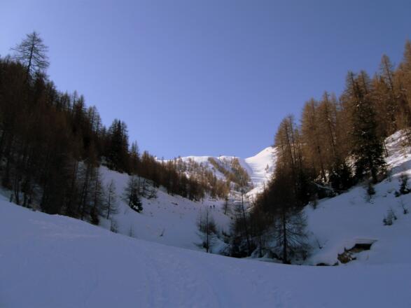 Links neben diesem Bachgraben geht man aufwärts zum Blasigleralm Hochleger.