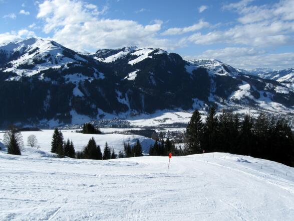 Zurück im oberen Teil der Bauernwiesen.