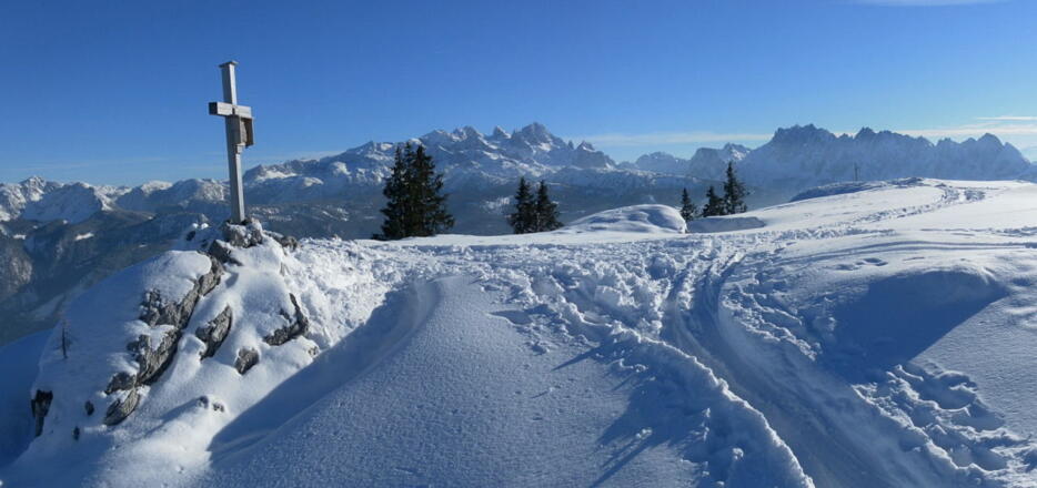 Rußberggipfel mit Dachstein und Gosaukamm