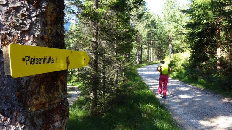 ... abzweigen und auf der Forststraße weiter.