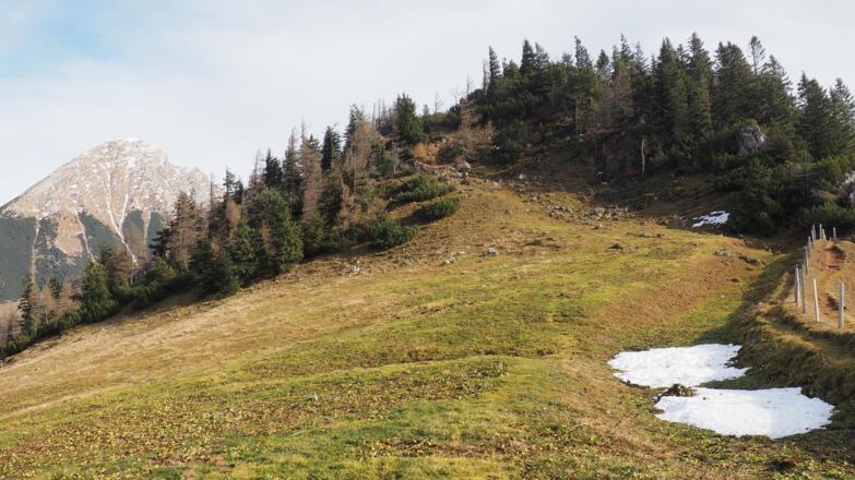 Vom Arlingsattel zum Kl. Bosruck 1466m