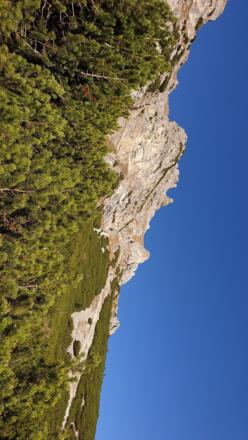Recht steil durch den Latschengürtel hinauf