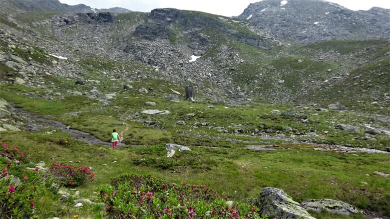 Der Talboden unterhalb der Blauen Seen - beim "G'schriebenen Stein".