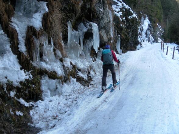 schattiger Rodelweg
