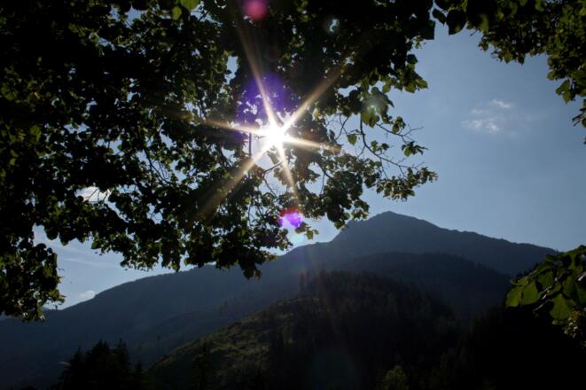 Gegenlicht