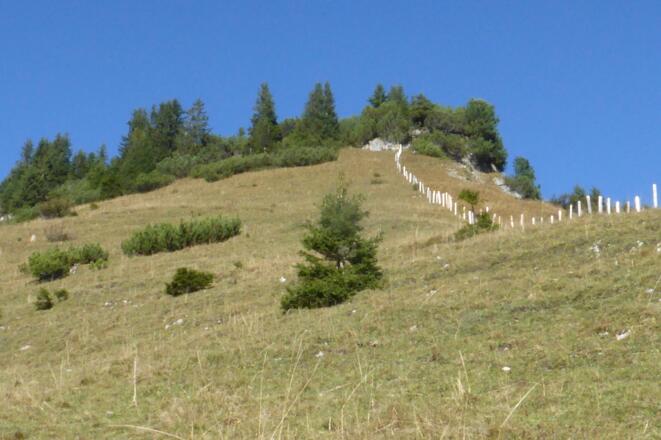 Abendspitze - Zaun der den Weg zum Gipfel leitet
